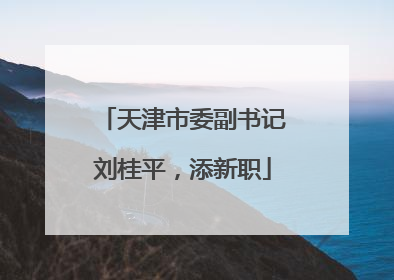 天津市委副书记刘桂平，添新职