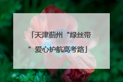 天津蓟州“绿丝带”爱心护航高考路