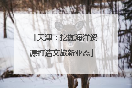 天津：挖掘海洋资源打造文旅新业态