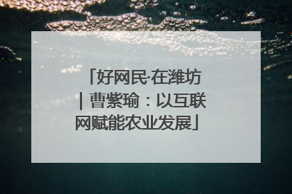 好网民·在潍坊｜曹紫瑜：以互联网赋能农业发展