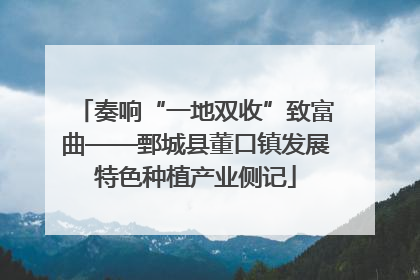 奏响“一地双收”致富曲——鄄城县董口镇发展特色种植产业侧记