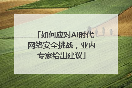 如何应对AI时代网络安全挑战，业内专家给出建议