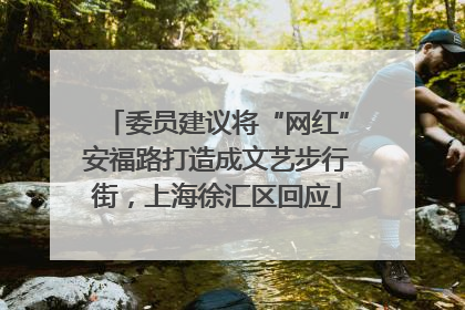 委员建议将“网红”安福路打造成文艺步行街，上海徐汇区回应