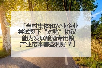 当村集体和农业企业尝试签下“对赌”协议 能为发展酿酒专用粮产业带来哪些利好？
