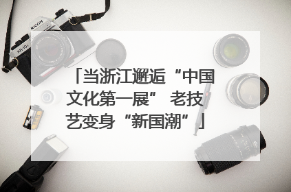 当浙江邂逅“中国文化第一展” 老技艺变身“新国潮”