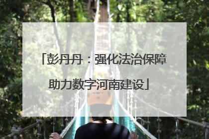 彭丹丹：强化法治保障 助力数字河南建设