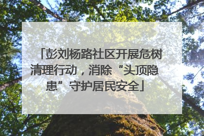 彭刘杨路社区开展危树清理行动，消除“头顶隐患”守护居民安全