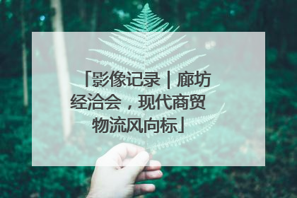 影像记录｜廊坊经洽会，现代商贸物流风向标
