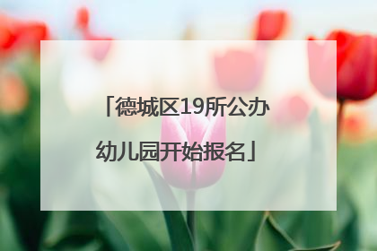 德城区19所公办幼儿园开始报名