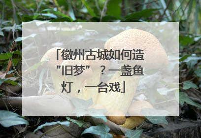 徽州古城如何造“旧梦”？一盏鱼灯，一台戏