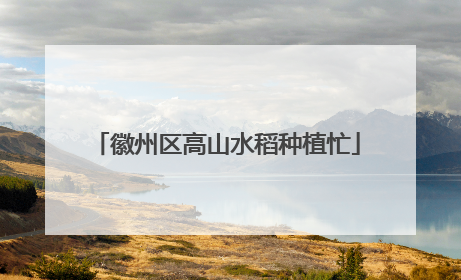 徽州区高山水稻种植忙