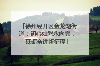 徐州经开区金龙湖街道：初心如磐永向党，砥砺奋进新征程