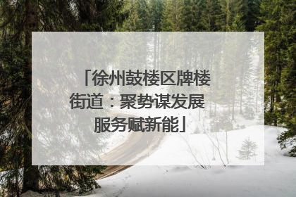 徐州鼓楼区牌楼街道：聚势谋发展 服务赋新能
