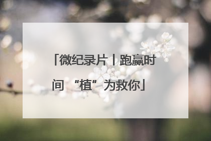微纪录片丨跑赢时间 “植”为救你