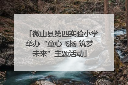 微山县第四实验小学举办“童心飞扬 筑梦未来”主题活动