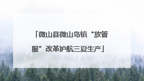 微山县微山岛镇“放管服”改革护航三夏生产