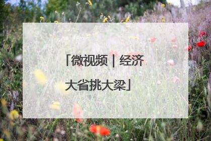微视频｜经济大省挑大梁