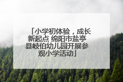 小学初体验，成长新起点 绵阳市盐亭县岐伯幼儿园开展参观小学活动