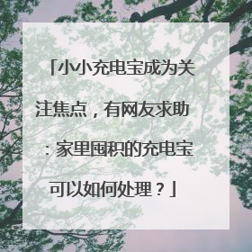 小小充电宝成为关注焦点，有网友求助：家里囤积的充电宝可以如何处理？