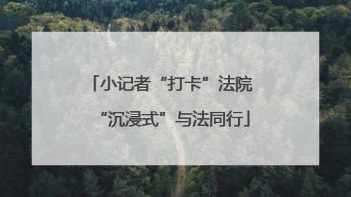 小记者“打卡”法院 “沉浸式”与法同行