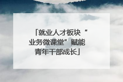 就业人才板块“业务微课堂”赋能青年干部成长