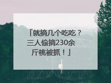 就摘几个吃吃？三人偷摘230余斤桃被抓！