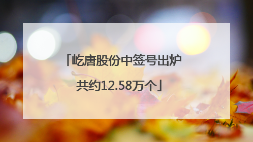 屹唐股份中签号出炉 共约12.58万个