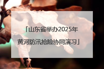 山东省举办2025年黄河防汛抢险协同演习