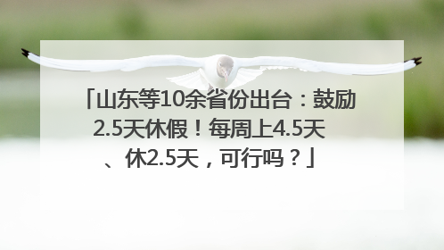 山东等10余省份出台：鼓励2.5天休假！每周上4.5天、休2.5天，可行吗？
