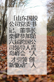 山东国投公司党委书记、董事长栾健参加第六届跨国公司领导人青岛峰会“人才引领 创新驱动”人力资源高质量发展对话会