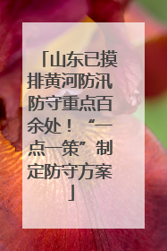 山东已摸排黄河防汛防守重点百余处！“一点一策”制定防守方案