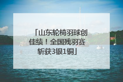 山东轮椅羽球创佳绩！全国残羽赛斩获3银1铜