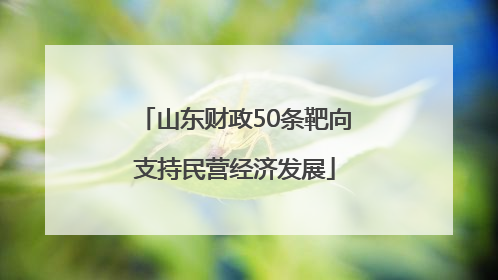 山东财政50条靶向支持民营经济发展
