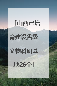 山西已培育建设省级文物科研基地26个
