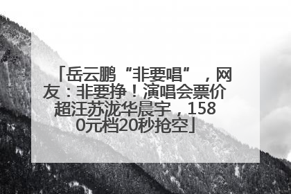 岳云鹏“非要唱”，网友：非要挣！演唱会票价超汪苏泷华晨宇，1580元档20秒抢空