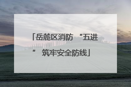 岳麓区消防 “五进” 筑牢安全防线