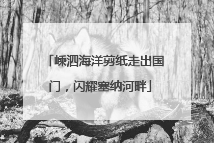 嵊泗海洋剪纸走出国门，闪耀塞纳河畔