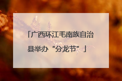 广西环江毛南族自治县举办“分龙节”