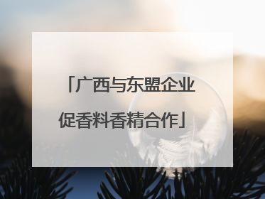 广西与东盟企业促香料香精合作