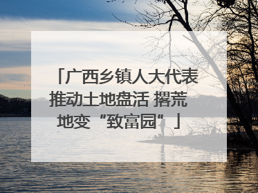 广西乡镇人大代表推动土地盘活 撂荒地变“致富园”