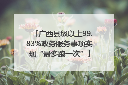 广西县级以上99.83%政务服务事项实现“最多跑一次”