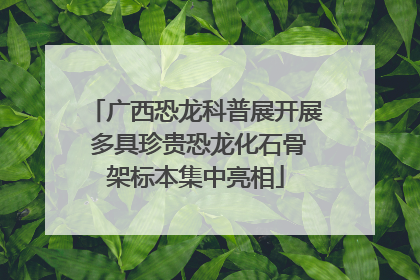 广西恐龙科普展开展 多具珍贵恐龙化石骨架标本集中亮相