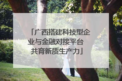 广西搭建科技型企业与金融对接平台 共育新质生产力