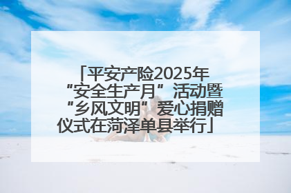 平安产险2025年“安全生产月”活动暨“乡风文明”爱心捐赠仪式在菏泽单县举行