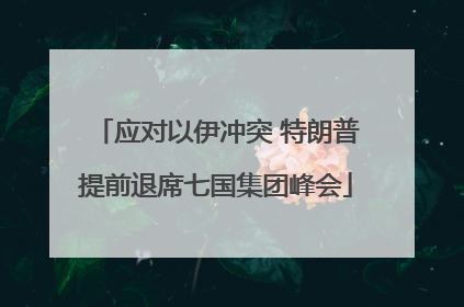 应对以伊冲突 特朗普提前退席七国集团峰会