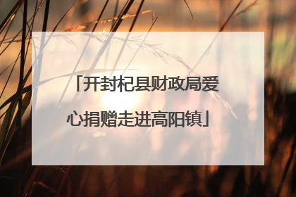 开封杞县财政局爱心捐赠走进高阳镇