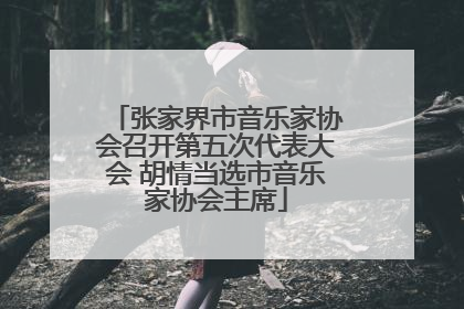 张家界市音乐家协会召开第五次代表大会 胡情当选市音乐家协会主席