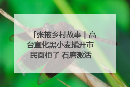 张掖乡村故事｜高台宣化黑小麦撬开市民面柜子 石磨激活村集体钱匣子