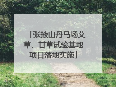 张掖山丹马场艾草、甘草试验基地项目落地实施