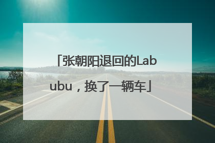 张朝阳退回的Labubu，换了一辆车